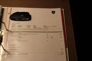 Lamborghini Gallardo *SE 115/250*RWD*EX-KIKI*'20 HURACAN*520