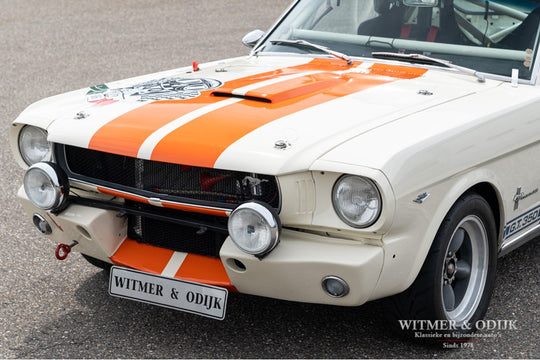 Ford Mustang Fastback '65 Rally Car (bj 1965)