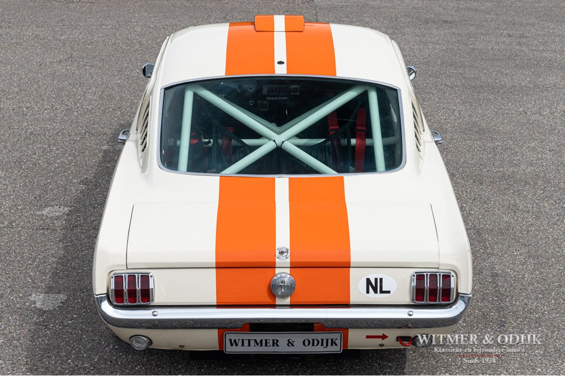 Ford Mustang Fastback '65 Rally Car (bj 1965)