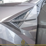 Lamborghini Urus Mansory Brand New